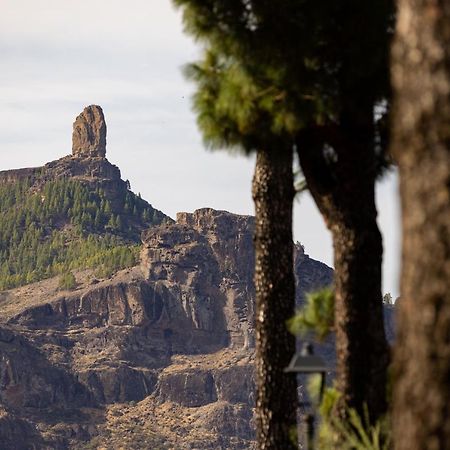 דירות טחדה Casa Maria With Roque Nublo View מראה חיצוני תמונה
