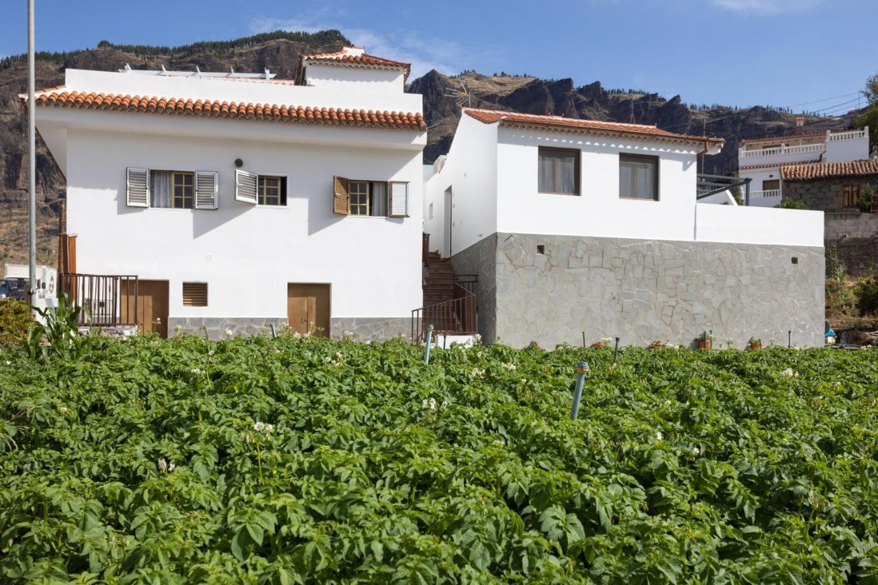 דירות טחדה Casa Maria With Roque Nublo View מראה חיצוני תמונה